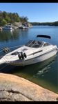 SeaRay 25 Sorrento med MerCruiser 496 Mag från 2012