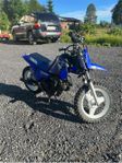Yamaha Pw50 
