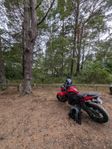 Suzuki Gsxs750