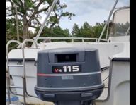 Ryds 530 gt
