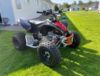 Can-am Ds90x