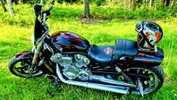 Mycket fin V-Rod muscle, Vance & Hines, Bänkad
