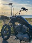 Harley Davidson sportster 883. 