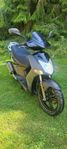 EU Moped 2013