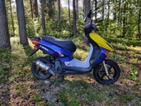 Honda x8rs klass 2