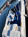 Sea Ray 200 cc -90