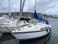 Sunwind 26