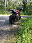Ducati monster 1100 evolution
