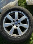 Volvo original 205/60 R16 Continental vinterdäck, dubb