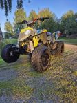 Polaris Outlaw 110EFI