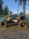 Polaris Outlaw 110EFI
