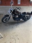 street Bob