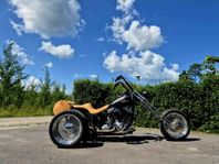 Harley Davidson Trike.