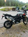Triumph Tiger Rally PRO