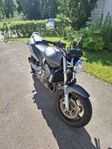Honda CB900F Hornet 