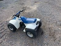 Suzuki 50
