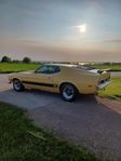 Ford Mustang Mach 1 5.8 V8 1973
