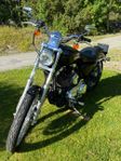 Harley Davidsson 1200 sportster