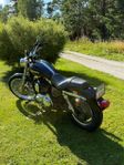 Harley Davidsson 1200 sportster