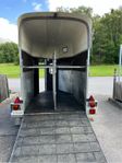 Hästtransport 
