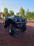 yamaha grizzly 660 -04