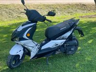 2019 Viarelli Monztro