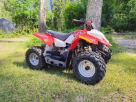 Polaris Outlaw 50cc