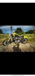 Sportster 1200XL