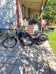 honda shadow 750