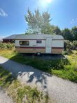  Cavalier Sarek 532 Ct
