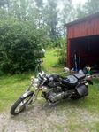 ligan 250