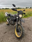 Ducati Scrambler Desert Sled