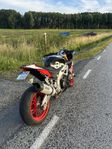 Aprilia Tuono V4 Factory 1100