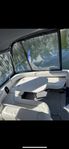Searay 290