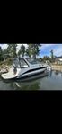Searay 290