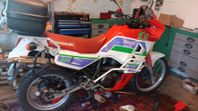 kawasaki KL650B tengai