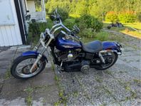 HD Street Bob