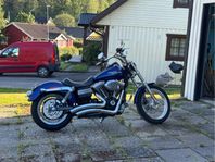 HD Street Bob