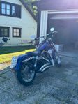 HD Street Bob