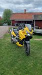 Suzuki v-strom 1000