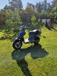 PGO pmx