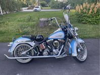 Softail Cholo