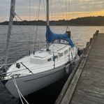 Amigo 40
