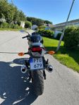 Ducati Monster 695