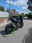Z900 Arrow helsystem, Välutrustad