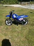 Pw 50