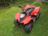 Viarelli barn atv 90cc 