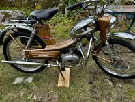 Rex Sport 65