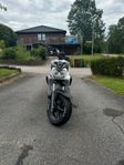 Yamaha slider 2015 