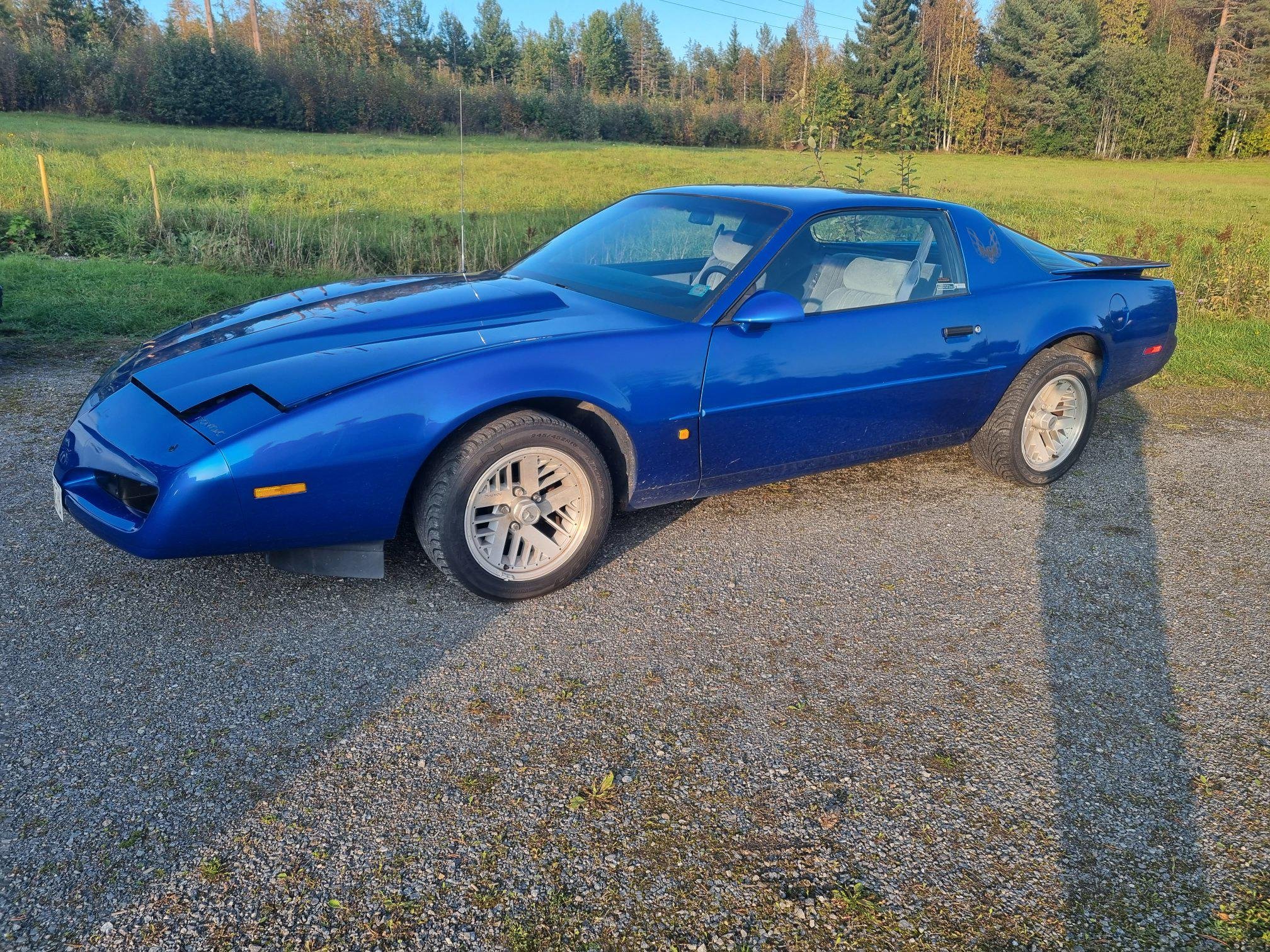 Pontiac Firebird 5.7 V8 Automatic, 248hp, 1991